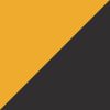 Black/White/Gold