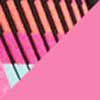Fire Pink