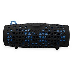 iLive Waterproof Floating Bluetooth Speaker