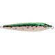 Rainbow Trout