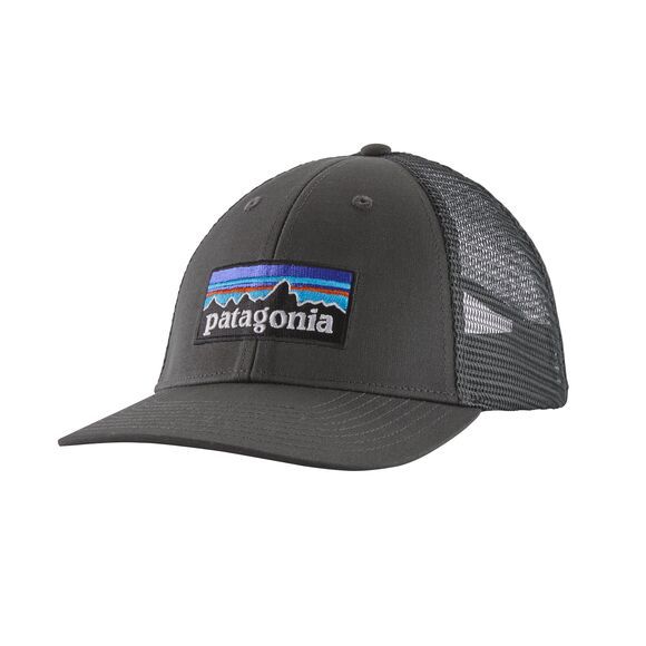 Patagonia Men's P-6 Logo LoPro Trucker Hat