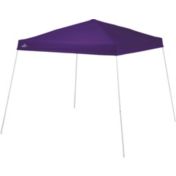 Quest canopy 10x10 hotsell