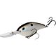 Gizzard Shad