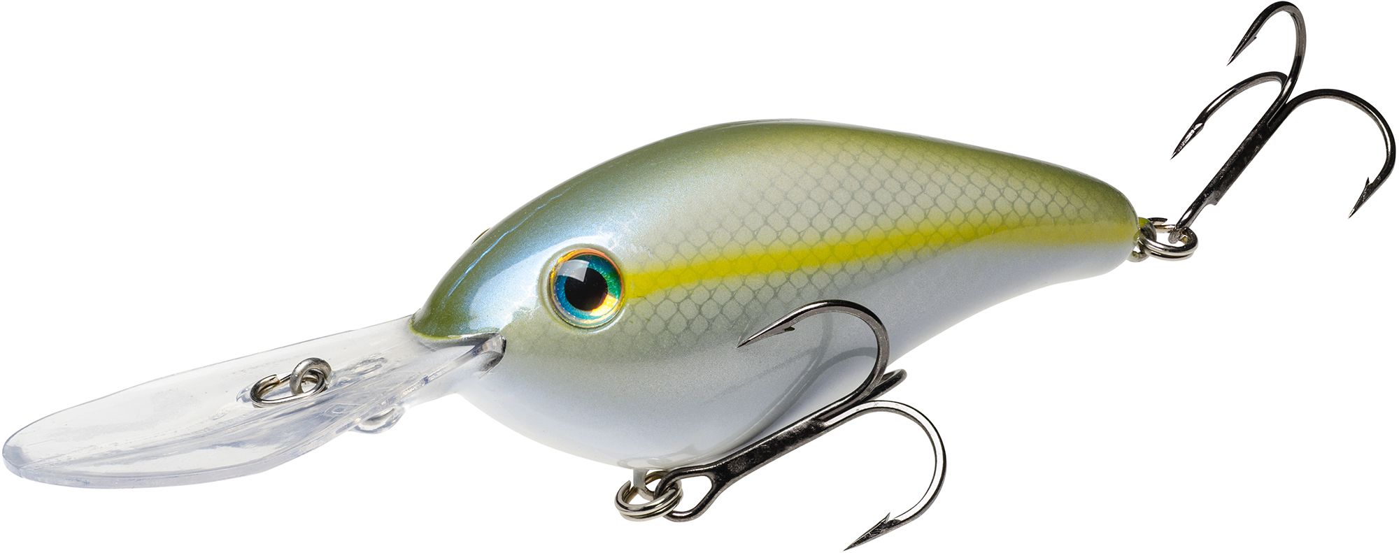 Sexy Blue Back Herring