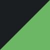 Black/Green