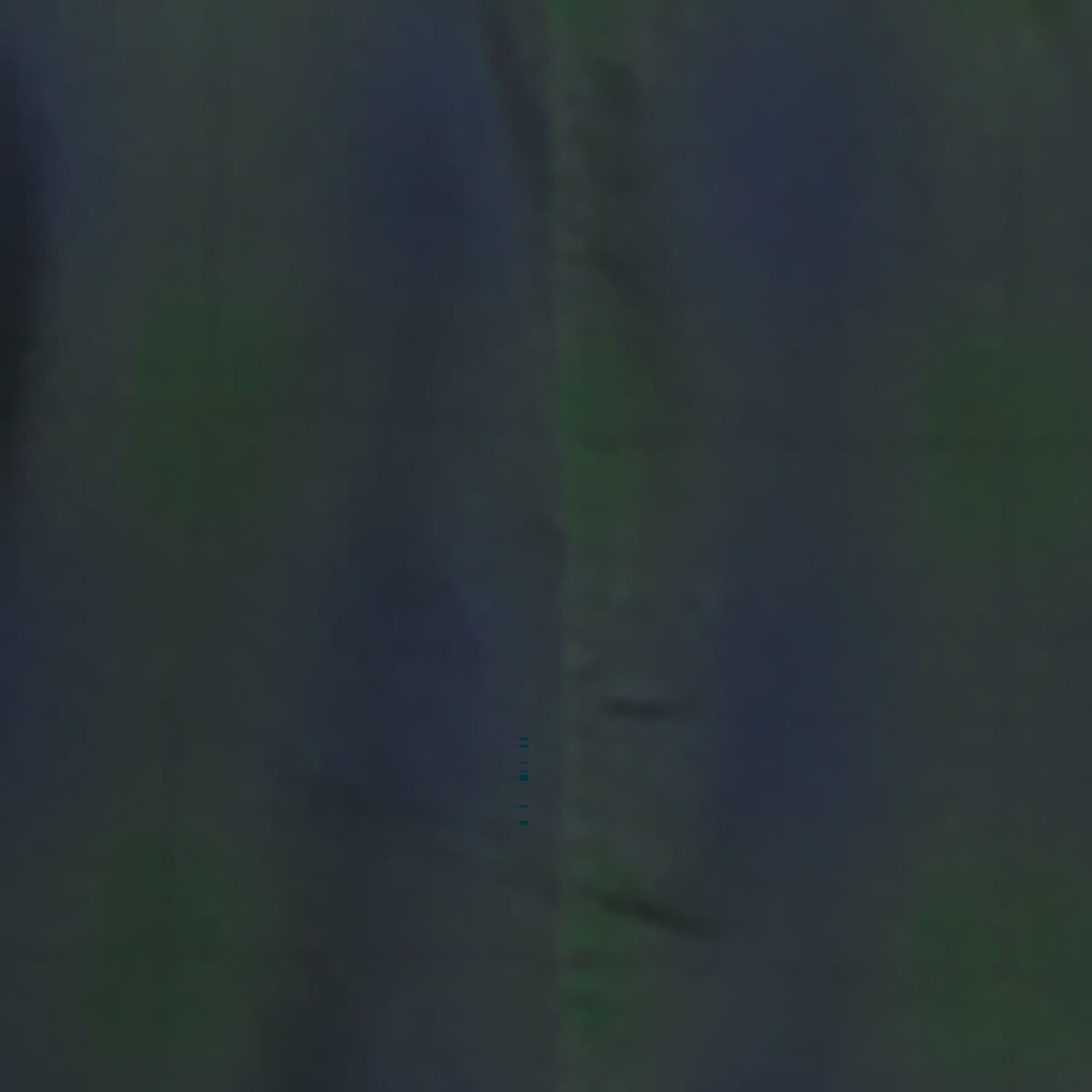 Pine Ndle Mdm Hd Shdw Pld