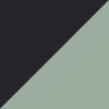 Slate Moss