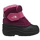 Boysenberry/Tnf Black