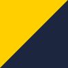Navy/Gold