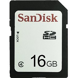 SanDisk 16 GB SD Card
