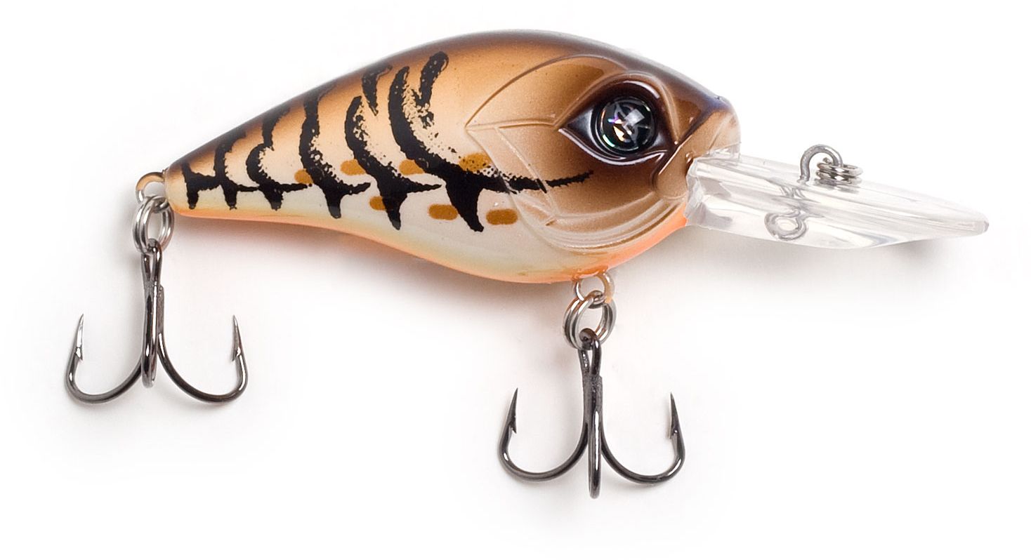 Mudbug