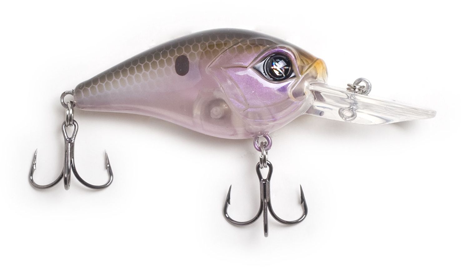 Native Shad