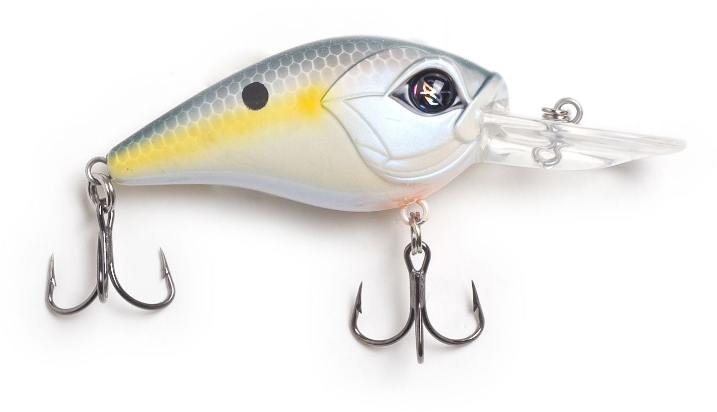 Sexy Shad