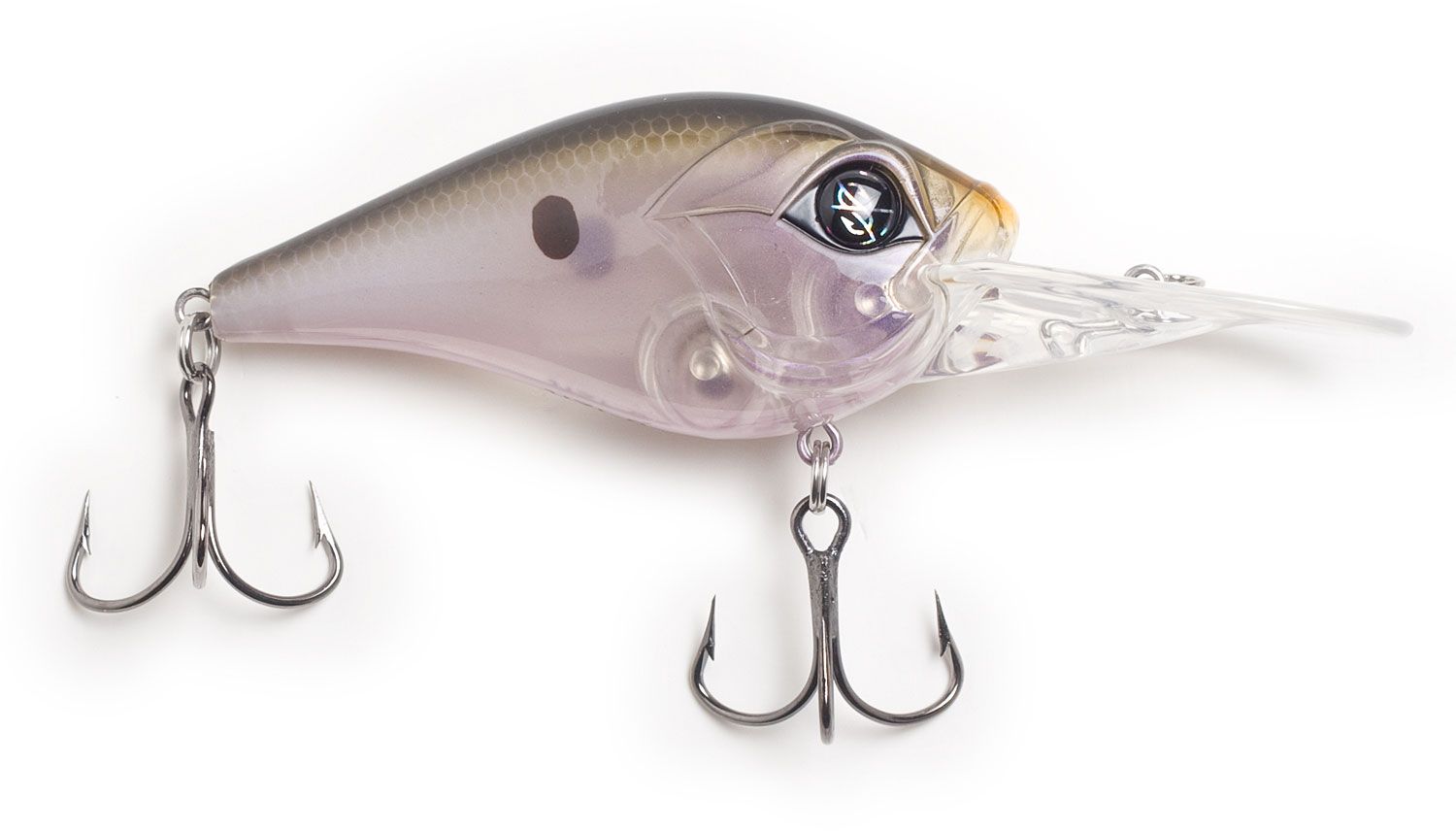 Native Shad
