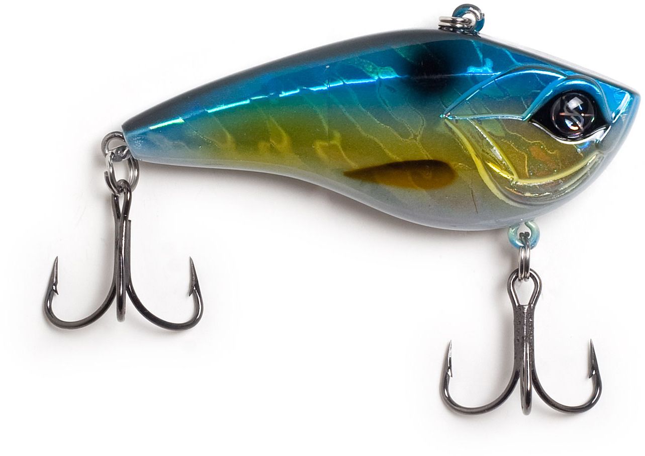 Aurora Shad