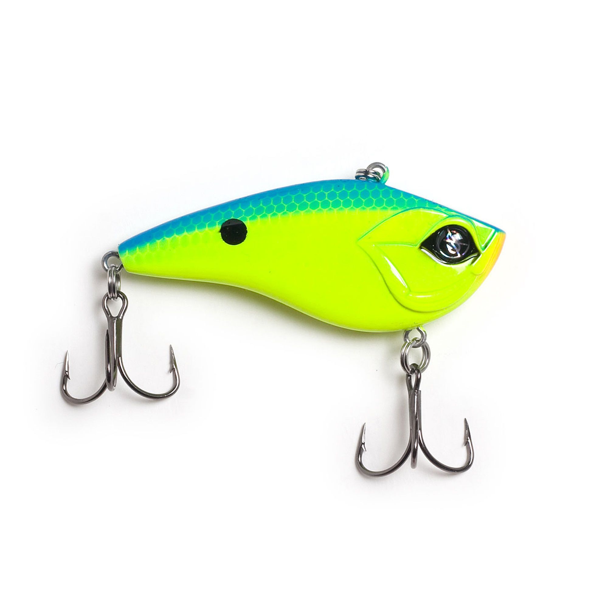 Chartreuse Blue Back