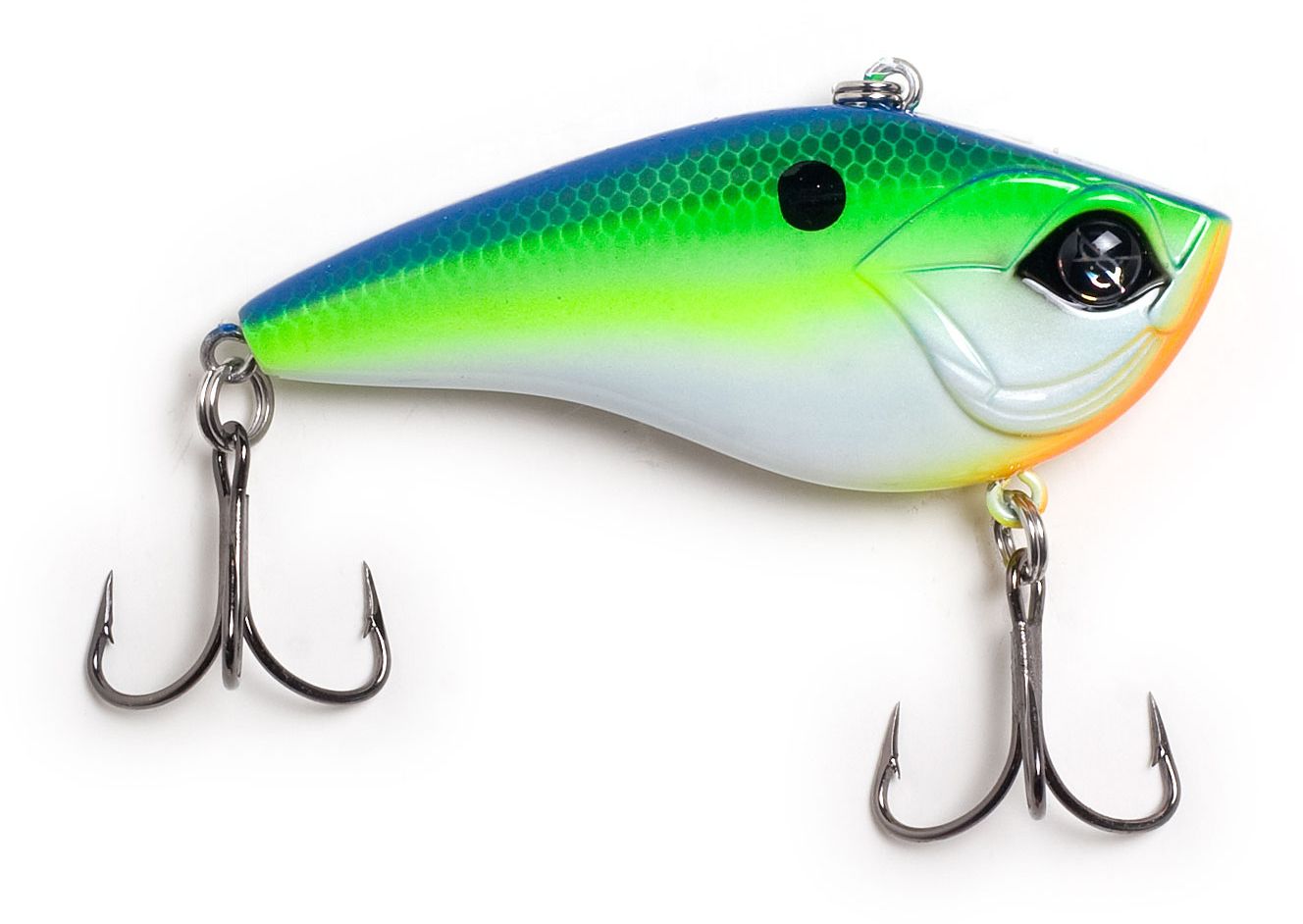 Citrus Shad
