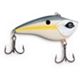 Sexy Shad