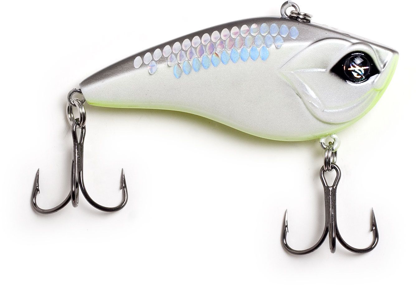 Shotgun Shad