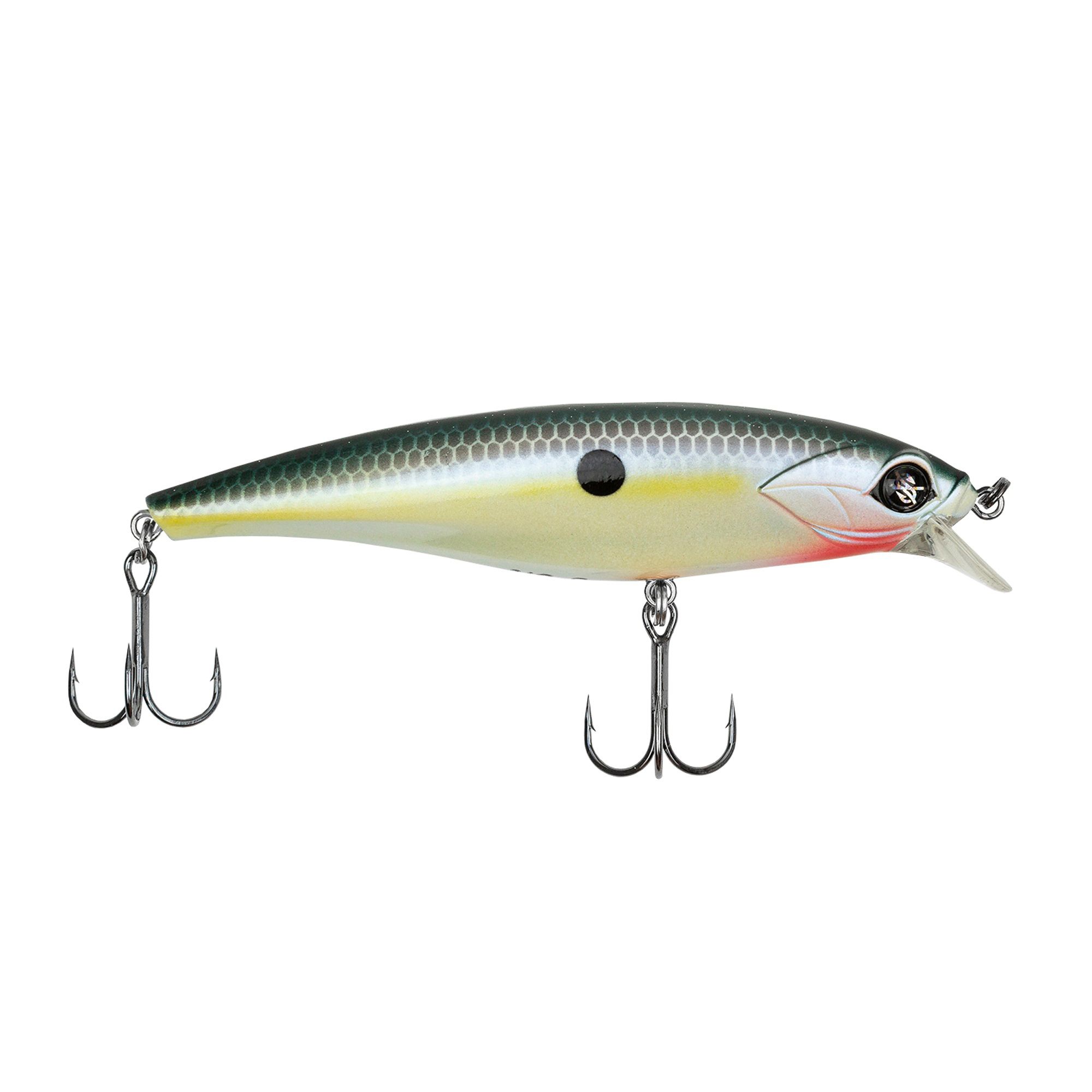 Sexy Shad