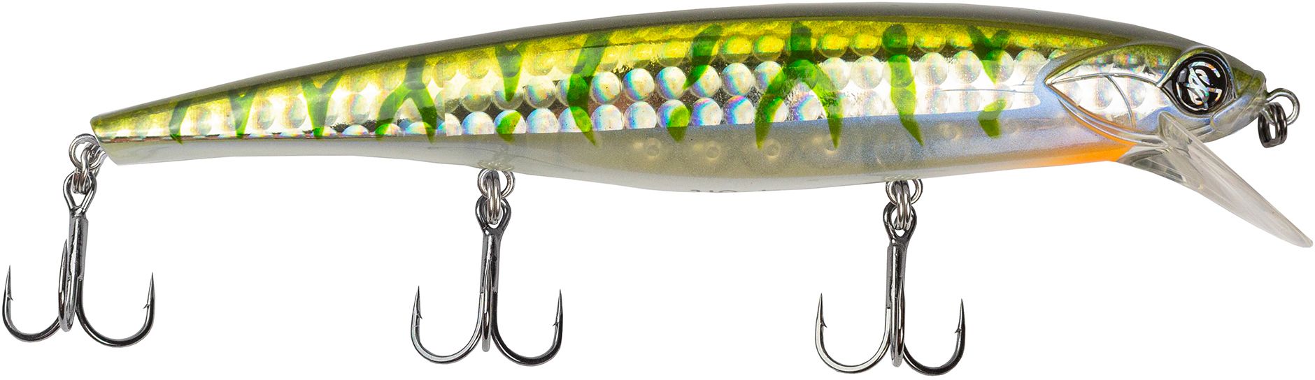 Yellow Perch