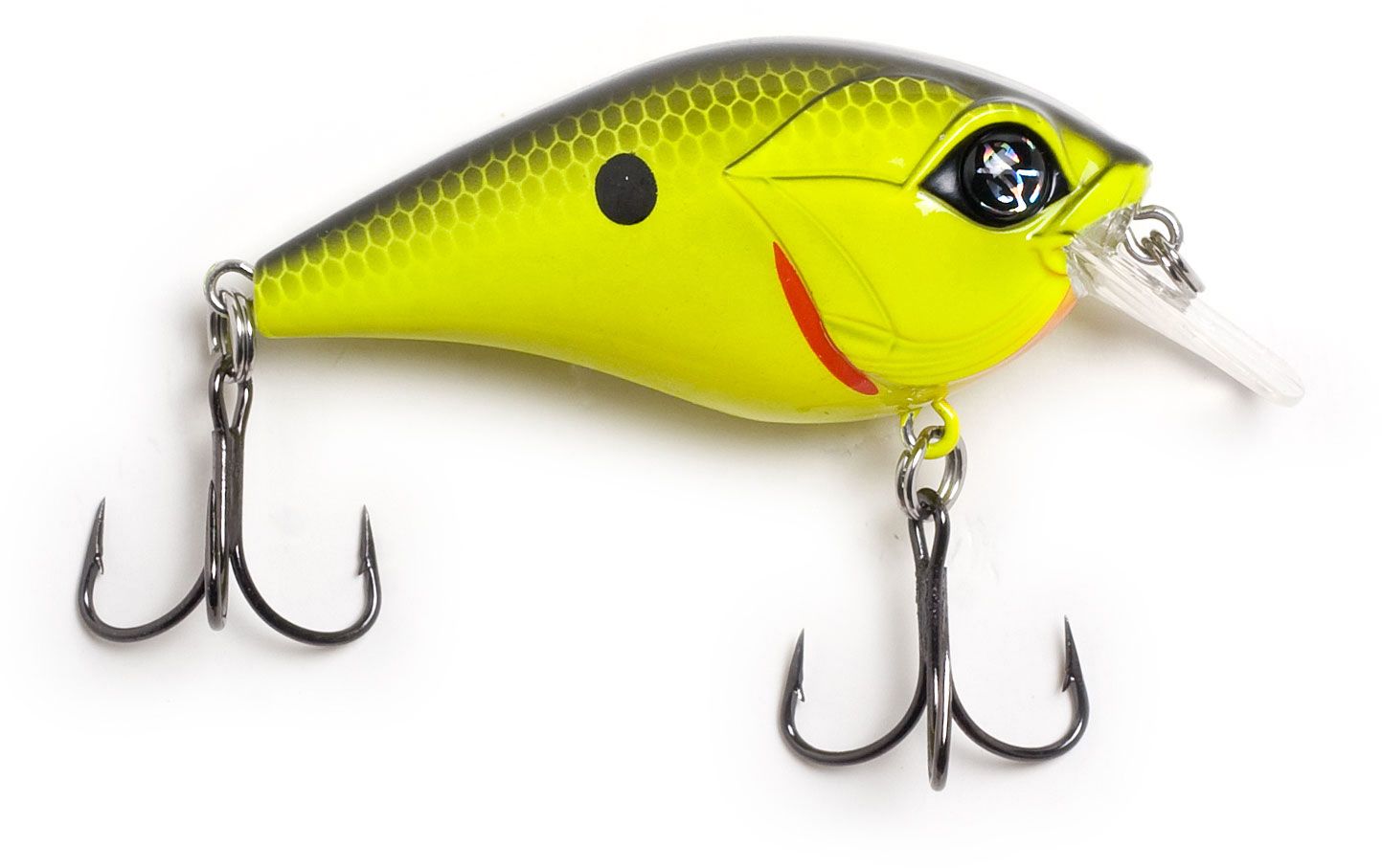 Chartreuse Black Back