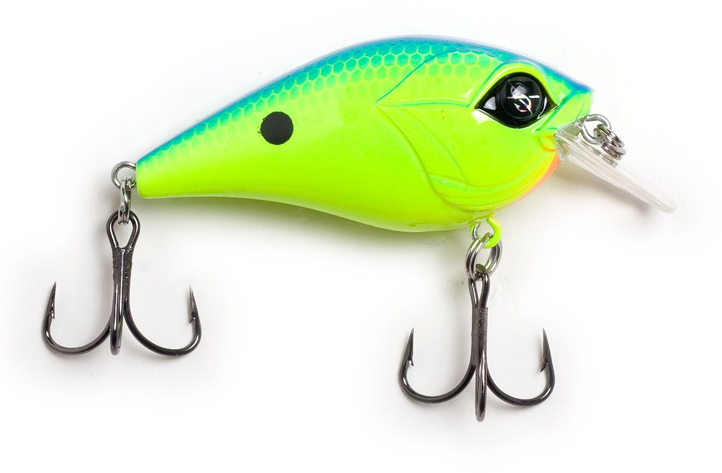 Chartreuse Blue Back