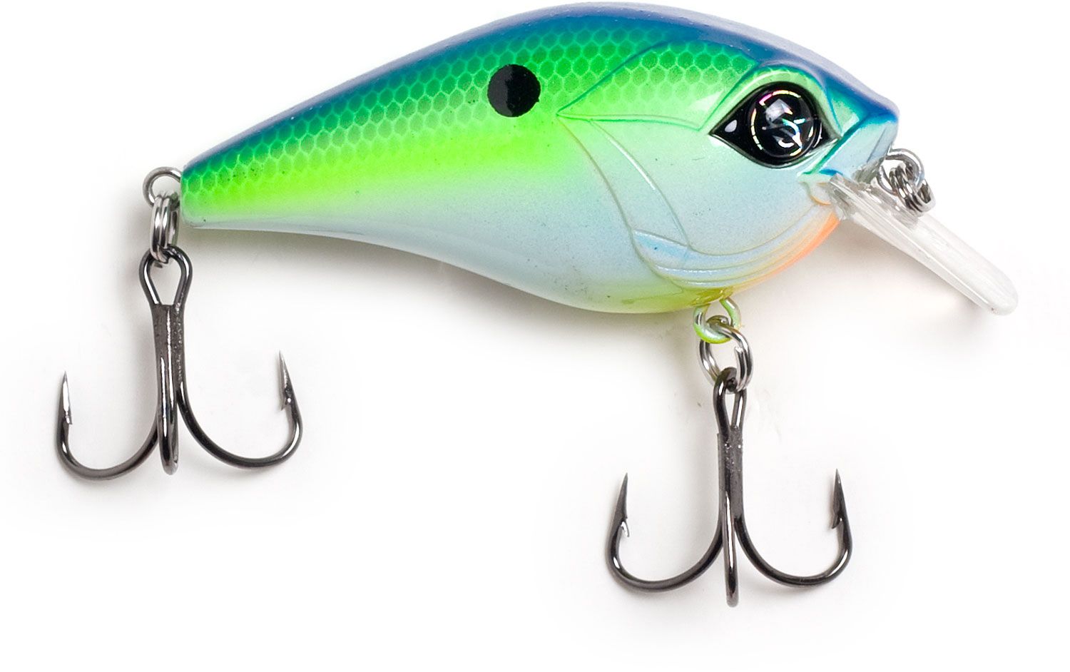 Citrus Shad