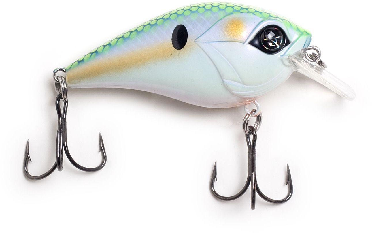 Mondo Shad