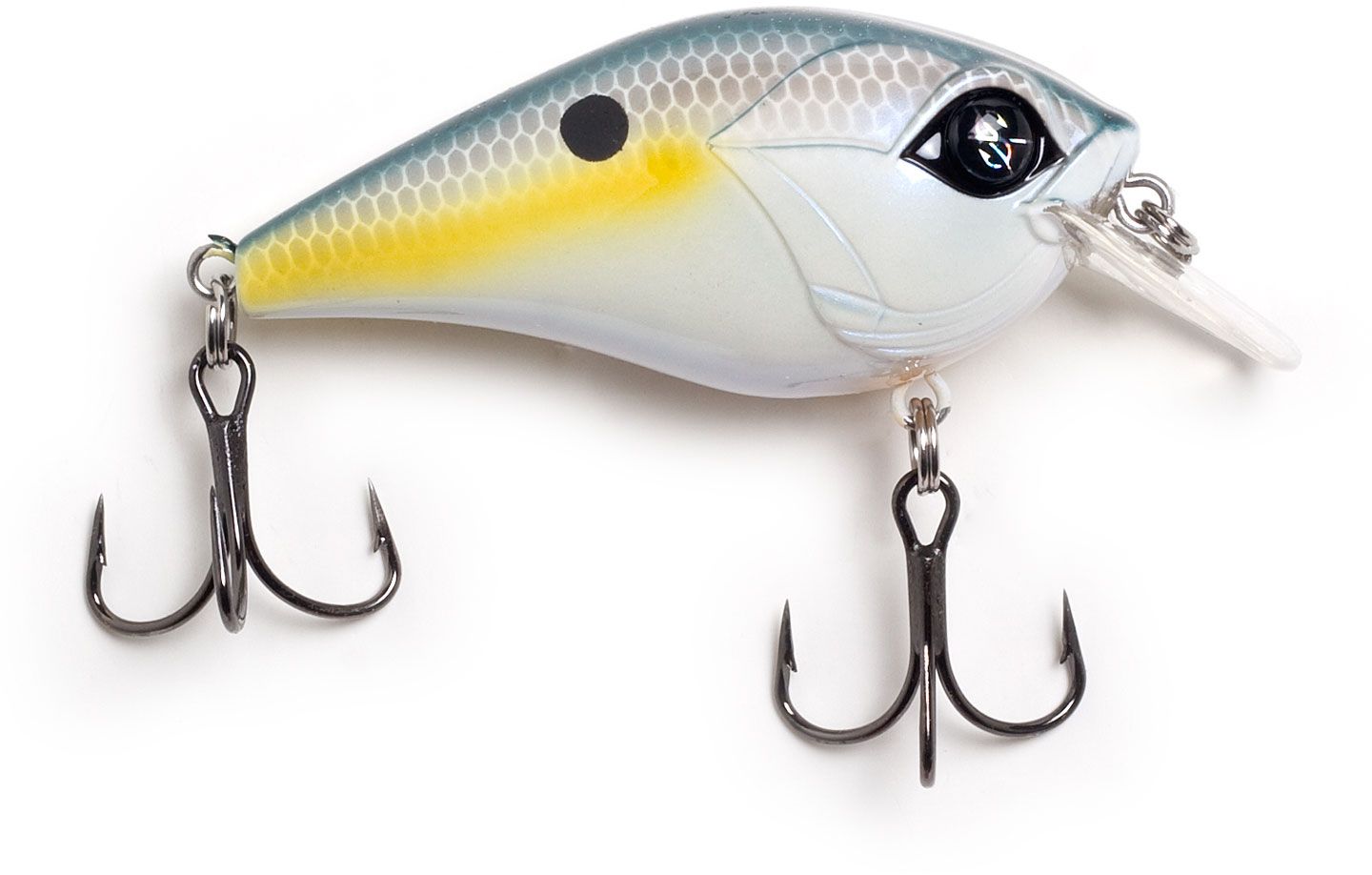 Sexy Shad