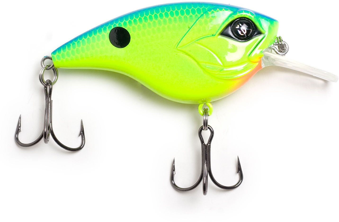 Chartreuse Blue Back