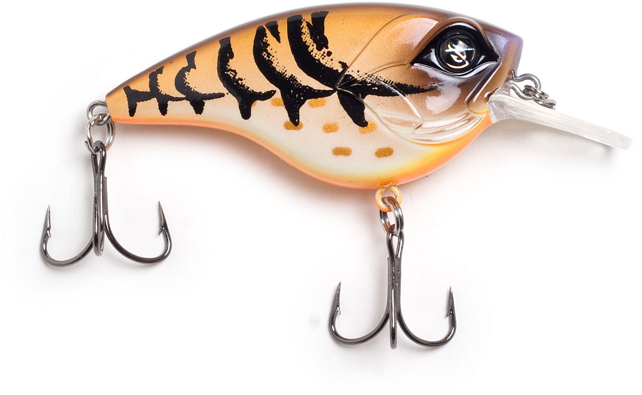 Mudbug