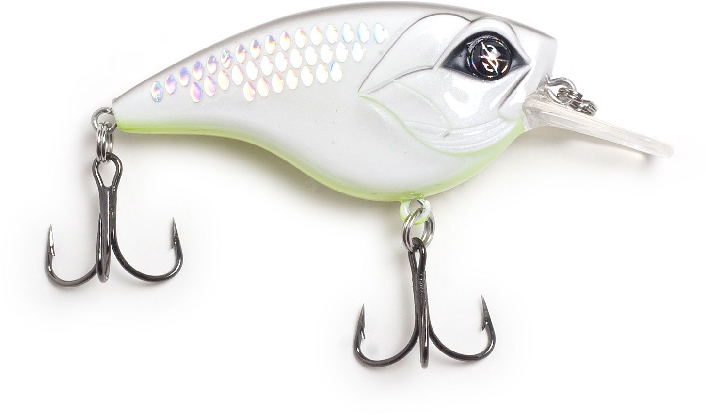 Shotgun Shad