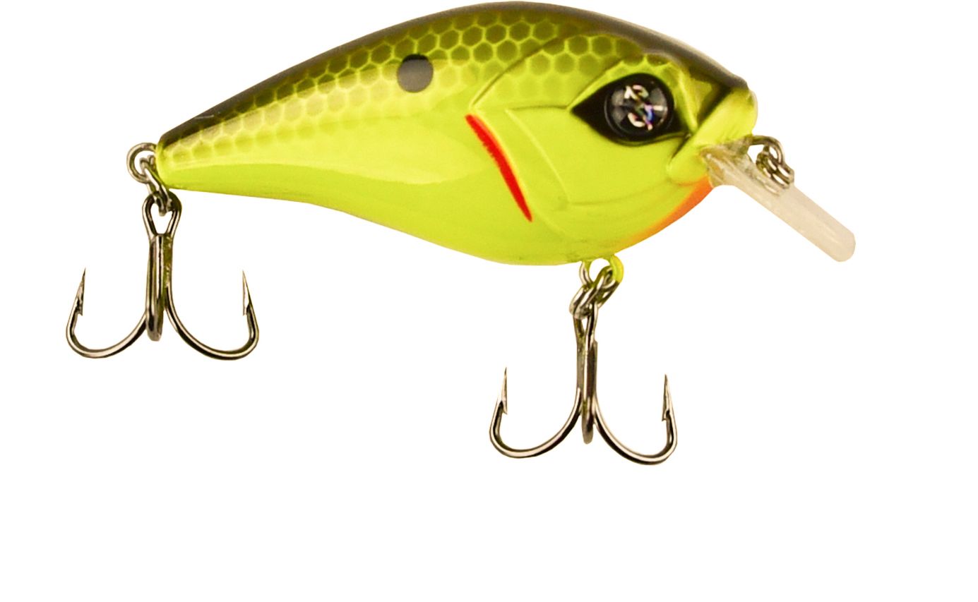 Chartreuse Black Back