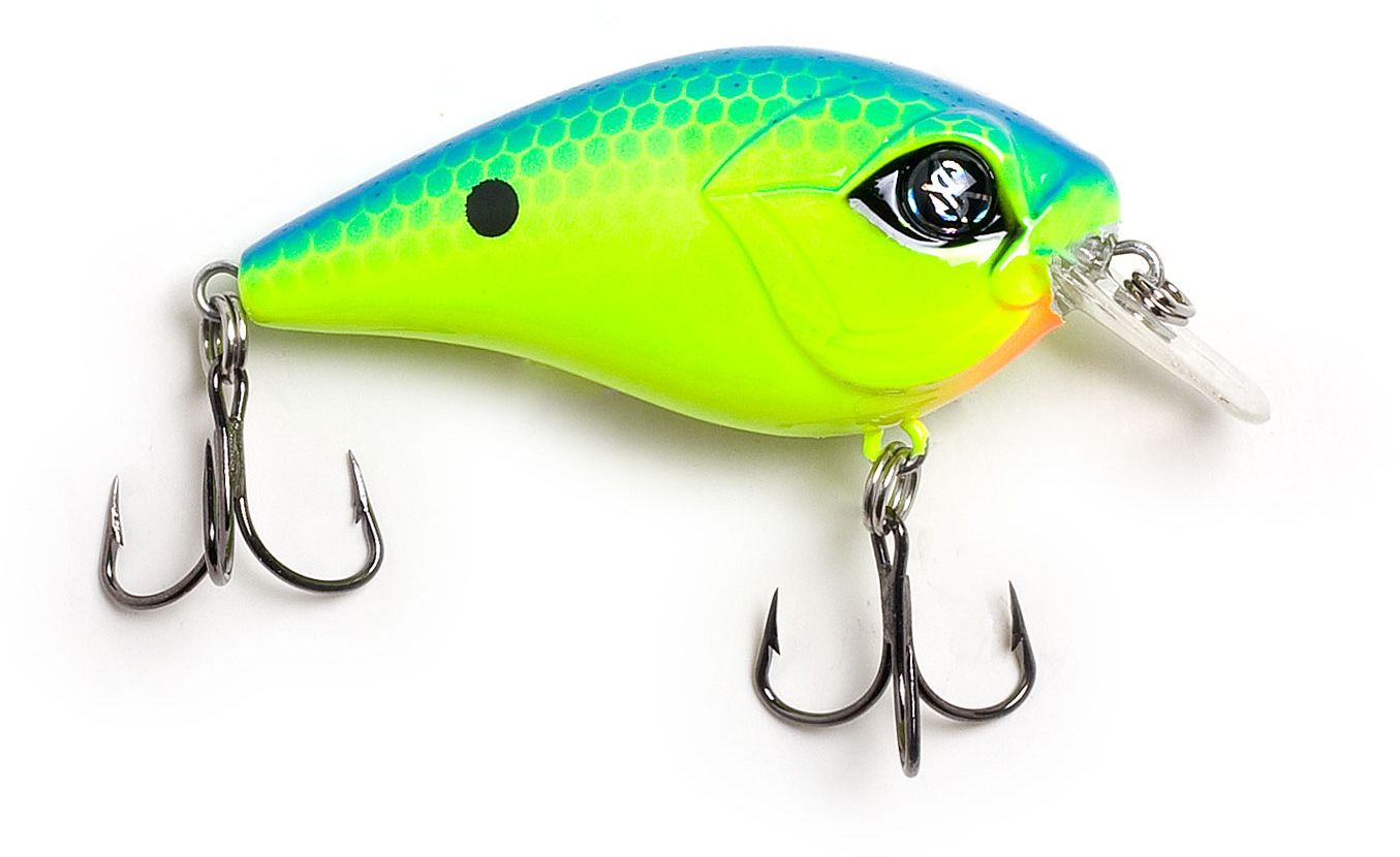 Chartreuse Blue Back