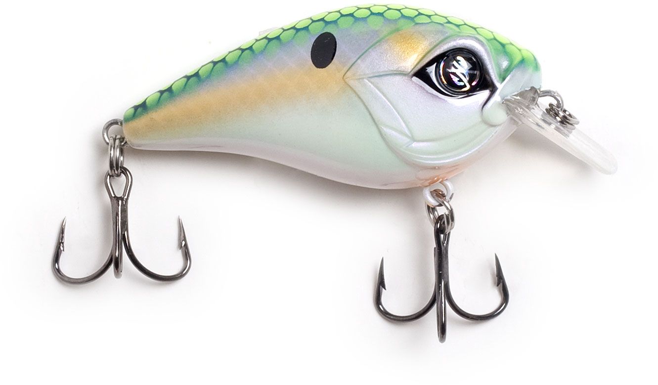 Mondo Shad