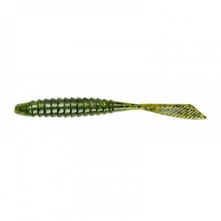 Watermelon Seed