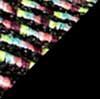 Black/Multi