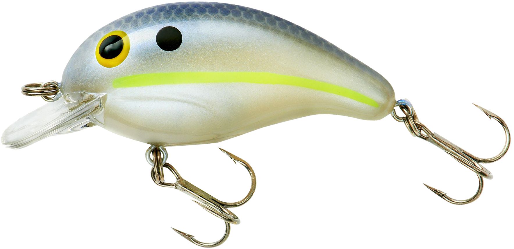 Chartreuse Shad