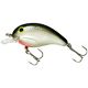 Silver Minnow