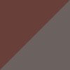 Tortoise/Gray