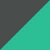 Shiny Gray/Green Mirror