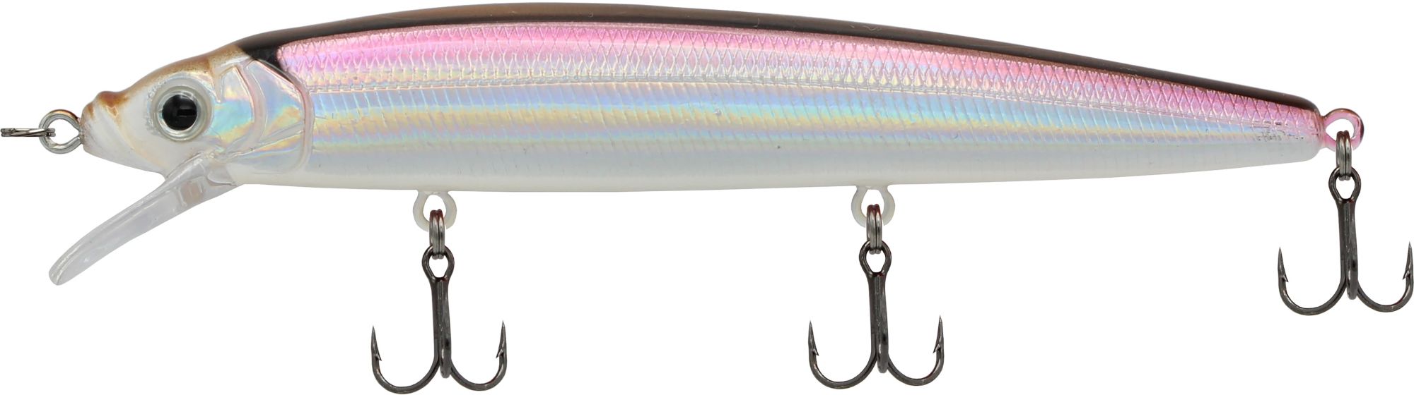 Emerald Shiner