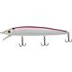 Emerald Shiner
