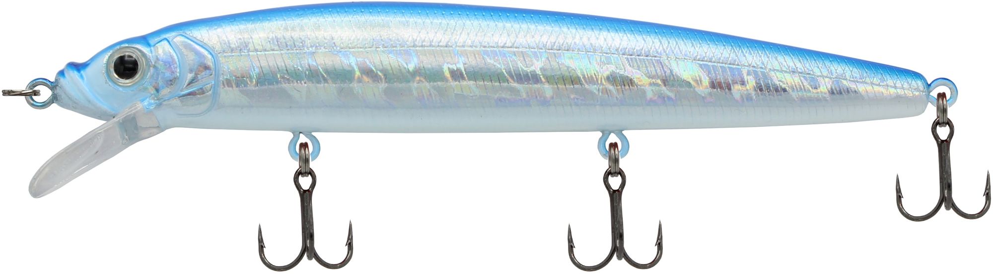 Silver/Blue