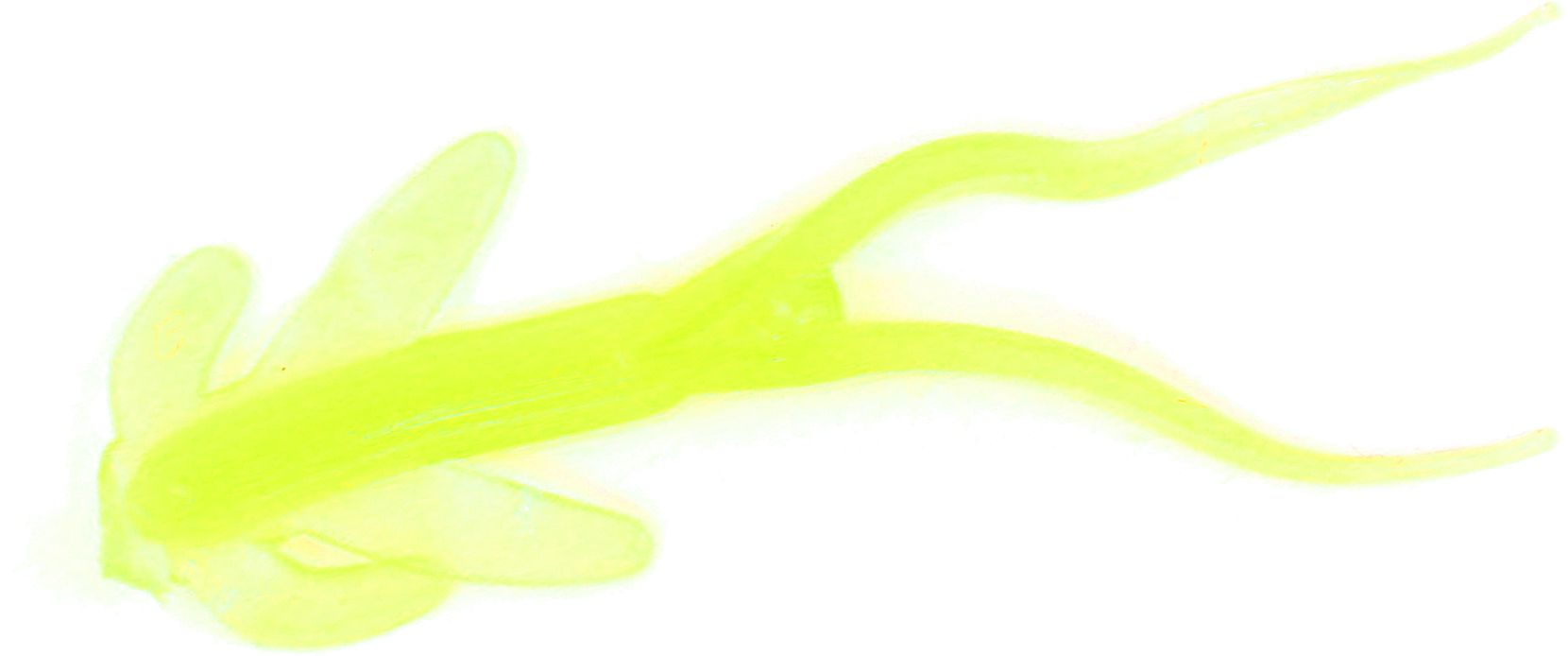 Chartreuse Glow