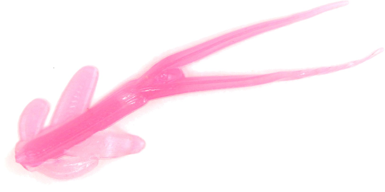 Clam Outdoors Matdi Soft Bait