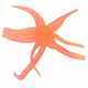 Blaze Orange