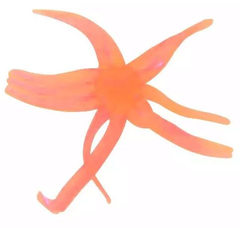 Clam Outdoors Neki Soft Plastic