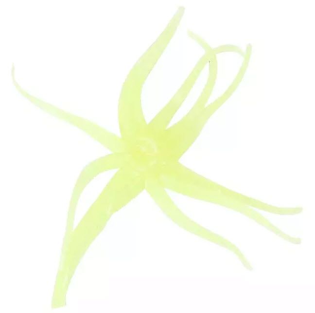 Chartreuse Glow